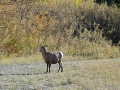 pic-p1090158