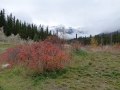 pic-p1090456