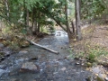 pic-p1090503
