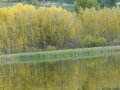 pic-p1090527