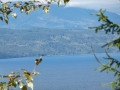 pic-p1090625