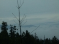 pic-p1090905