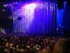 Waiting for Dolly